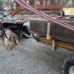 ajoneuvoetsintaa-nosework-kolmosluokka-koe