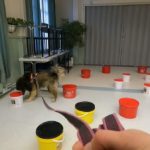 ampari-sisatilat-nosework-etsinta