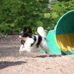 IMG-20190818-WA0027