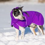 Lila ProPalttoo koko 55 cm