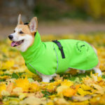 ProPalttoo koiran takki corgi koko 40 cm vihrea