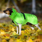 ProPalttoo koiran takki tanskalais-ruotsalainen pihakoira koko 35 cm