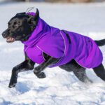 ProPalttoo lila koiran talvitakki koko 60 cm