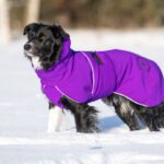 ProPalttoo lila koiran talvitakki koko 60 cm iso bordercollieuros