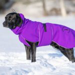 ProPalttoo lila talvitakki koko 60 cm