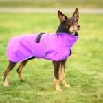 ProPalttoo takki koiralle koko 40 cm kelpie