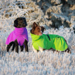 ProPalttoo vihrea ja lila 55 cm ja 60 cm