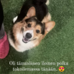 topkonemo