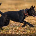 IMG_6283-2048