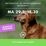 metsastys- ja urheilukoiran ruokinta mainos
