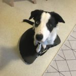 0373A9AD-D9E3-427F-9CB1-A0AD52BE5DA2