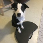 1D78DB80-5E0F-4267-A0D4-0BF7EF535B00