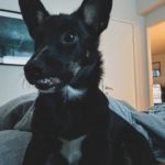 3233B6A4-104D-49FE-B77E-FEC70FF36655