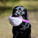 JattiNahkis-lila-monivarinen