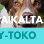 kevat kurssit kuuntelupaikat