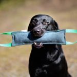 vauhti-patukka vihreilla lenkeilla