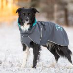 SporttiPalttoo harmaa-turkoosi koko 60 cm ja iso bc-uros