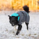 SporttiPalttoo harmaa-turkoosi koko 60 cm liikeessa