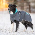 SporttiPalttoo harmaa-turkoosi koko 60 cm varillinen sisakaulus