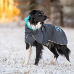 SporttiPalttoo harmaa-turkoosi paivitetty varillinen sisakaulus