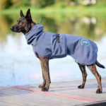 SporttiPalttoo koiran sadetakki koko 60 cm hollanninpaimenkoira