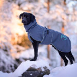 SporttiPalttoo koiran takki harmaa-turkoosi koko 60 cm