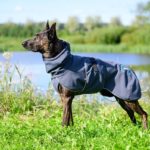 SporttiPalttoo koiran takki harmaa-turkoosi koko 60 cm