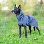 SporttiPalttoo koiran takki koko 60 cm pinkki hollanninpaimenkoira