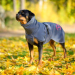 SporttiPalttoo koiran takki rottweiler koko 60 cm harmaa-pinkki
