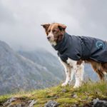 SporttiPalttoo kotimainen huippulaatuinen koiran sadetakki harmaa-turkoosi