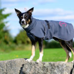 SporttiPalttoo kotimainen koiran sadetakki koko 55 cm harmaa-pinkki