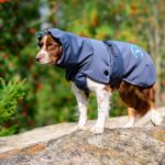 SporttiPalttoo kotimainen koiran takki australianpaimenkoira koko 55 cm