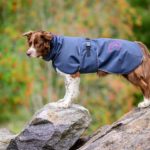 SporttiPalttoo kotimainen koiran takki australianpaimenkoira koko 55 cm harmaa-pinkki