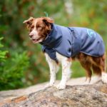 SporttiPalttoo kotimainen koiran takki australianpaimenkoira koko 55 cm harmaa-turkoosi