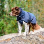 SporttiPalttoo kotimainen koiran takki australianpaimenkoira koko 55 cm turkoosi