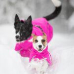 Pinkit ProPalttoot koko 50 cm ja 30 cm