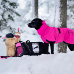 Pinkki ProPalttoo koiran takki SporttiRakin kotimainen premium-laatuinen takki