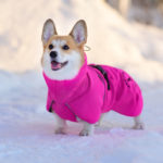 Pinkki ProPalttoo koiran takki corgi 45 cm