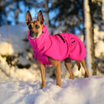 Pinkki ProPalttoo koiran takki malinois 60 cm