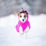 Pinkki ProPalttoo koko 30 cm