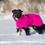 Pinkki ProPalttoo koko 60 cm