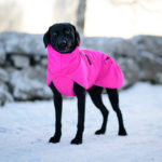 Pinkki ProPalttoo talvitakki koiralle kotimainen premium-laatu