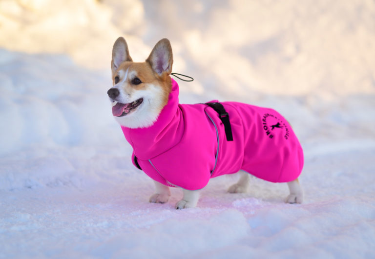 Aivan täyskymppi!