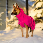 Pinkki SporttiRakin ProPalttoo koiran takki malinois 60 cm