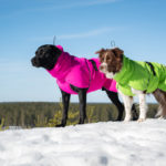 ProPalttoo koiran takki vihrea ja pinkki koot 60 cm ja 55 cm
