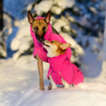 ProPalttoo pinkki koiran takki SporttiRakki koiraurheilunilo