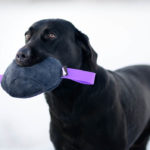 SporttiRakin Vahvis-mokkatyyny treenilelu koiralle musta-lila