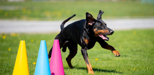 Jäsenedut paranevat 1.1.2022 alkaen – tiedote muutoksista