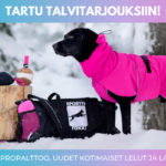 tartu talvitarjouksiin cover