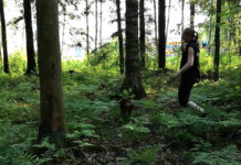 Vinkkivideo: Pennut – esine-etsintä